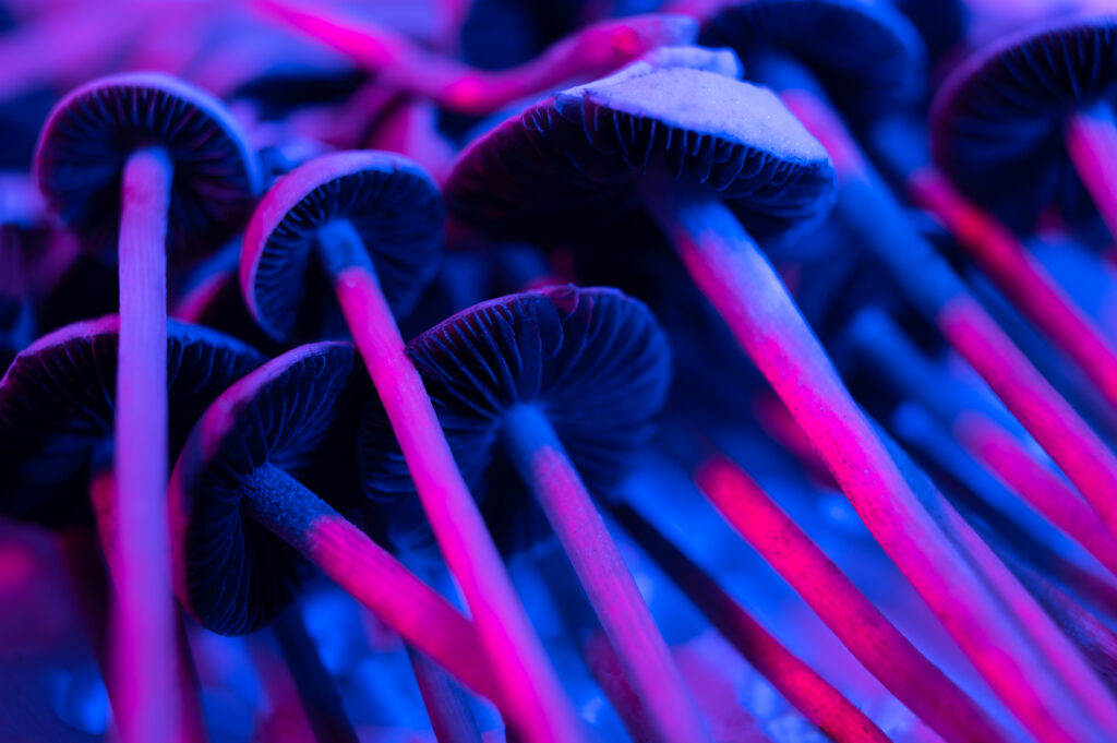 Types of Psychedelics Explained: Research & Risks Overview