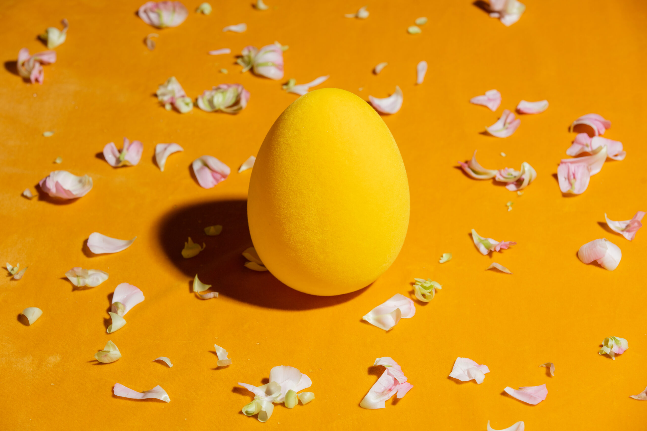 A bright yellow egg resting on a smooth white surface, symbolizing new beginnings and potential.